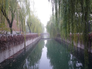 P1000970