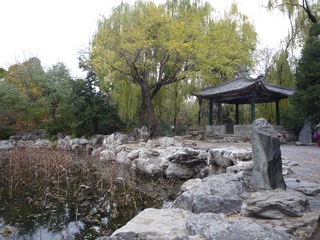 P1010011