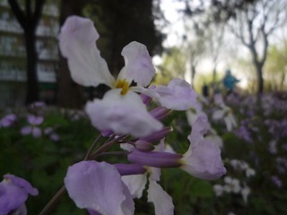 P1010897