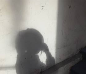 3665938