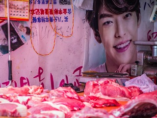 小鲜肉