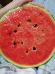 733944