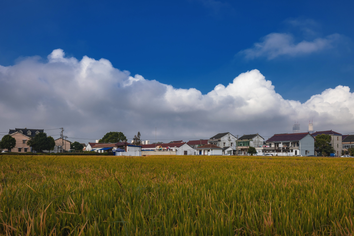 这里是上海 浦东新区 张江镇 中心村 - 王伦国 - 图虫