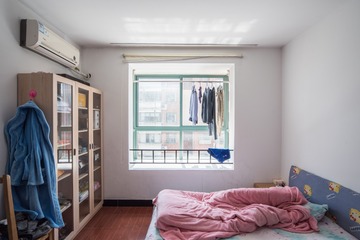 WLG_3902