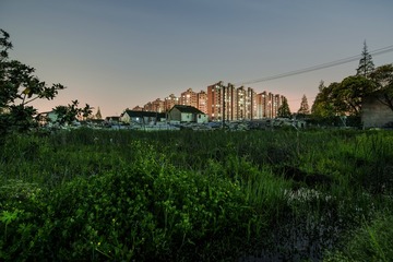 WLG_4025