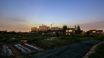 WLG_4031
