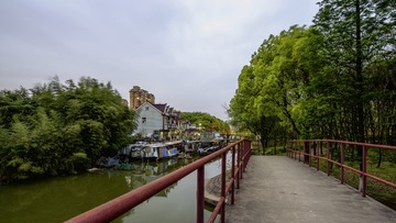 WLG_4043