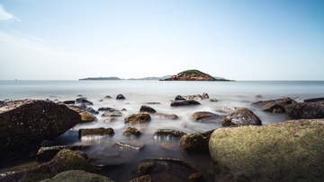 WLG_4579