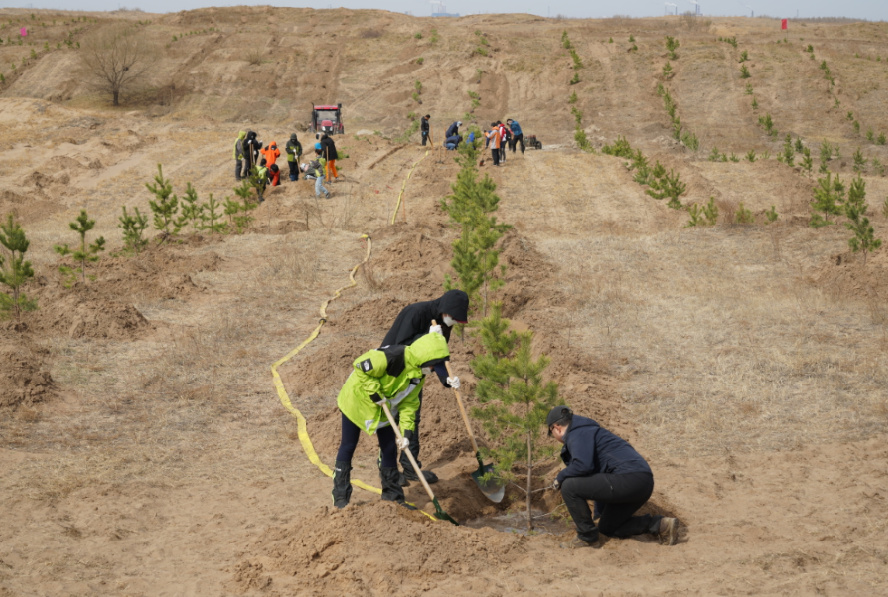 治沙我们是认真的