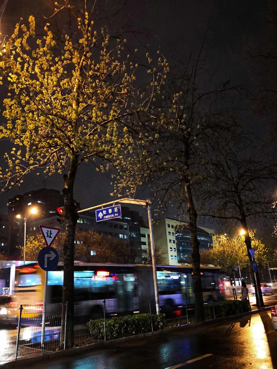 头条摄影赛#把所有的春天 都揉进知春路的雨夜