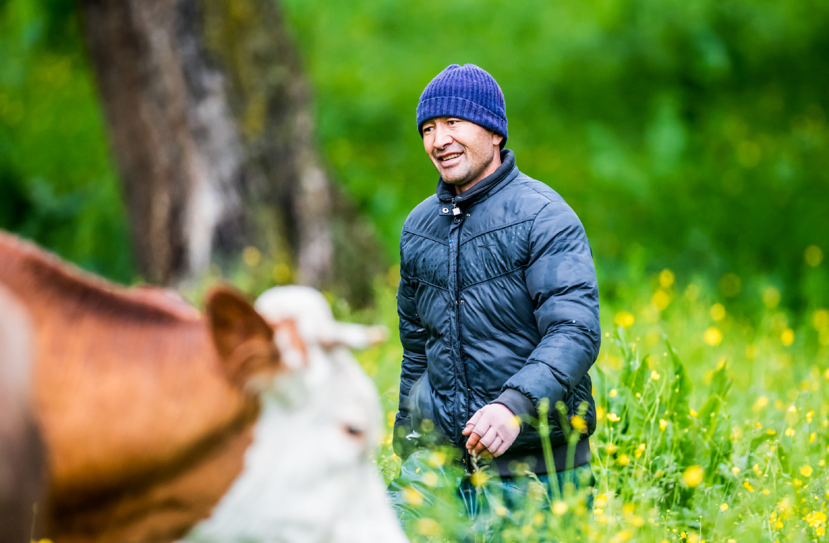 新疆天山库尔德宁风景区密布雪岭云杉原始森林2006年被评为中国十大