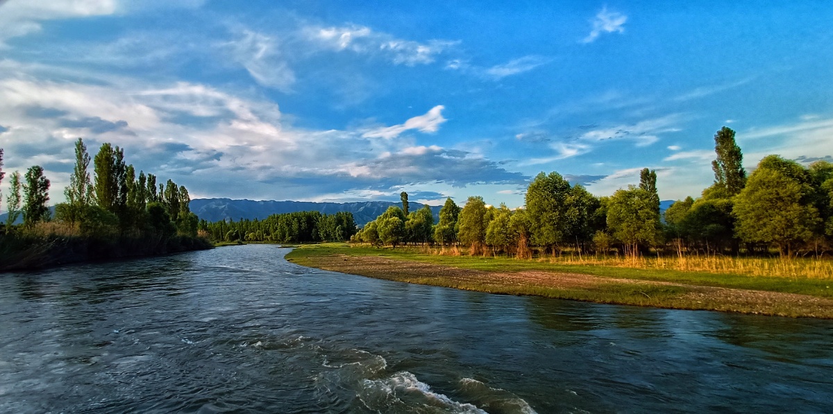 新疆巩乃斯河风光