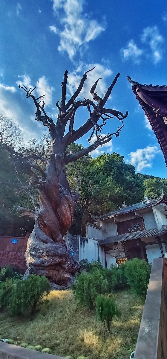 泸山光福寺景色