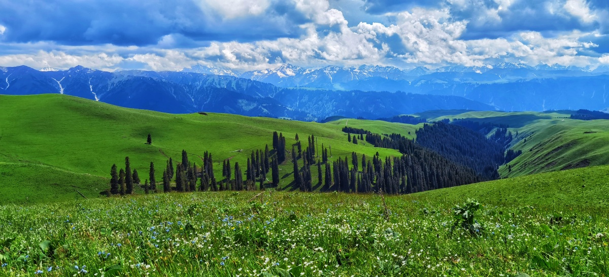 伊犁南山林牧场景色美轮美奂惊叹观止自然风景堪比aaaaa景区旅游达人
