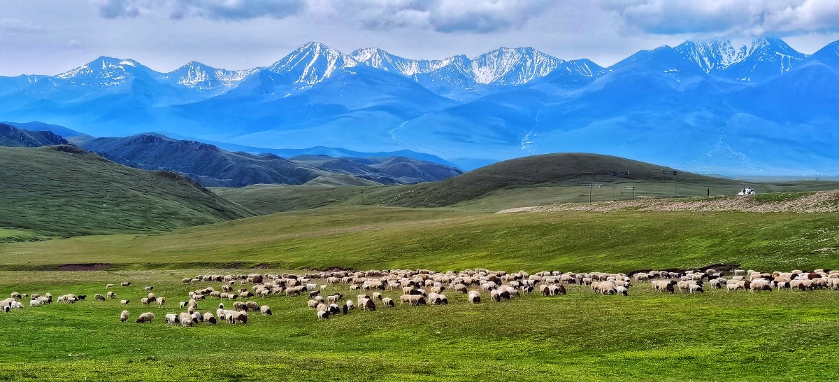 大美新疆巴音布鲁克大草原景色