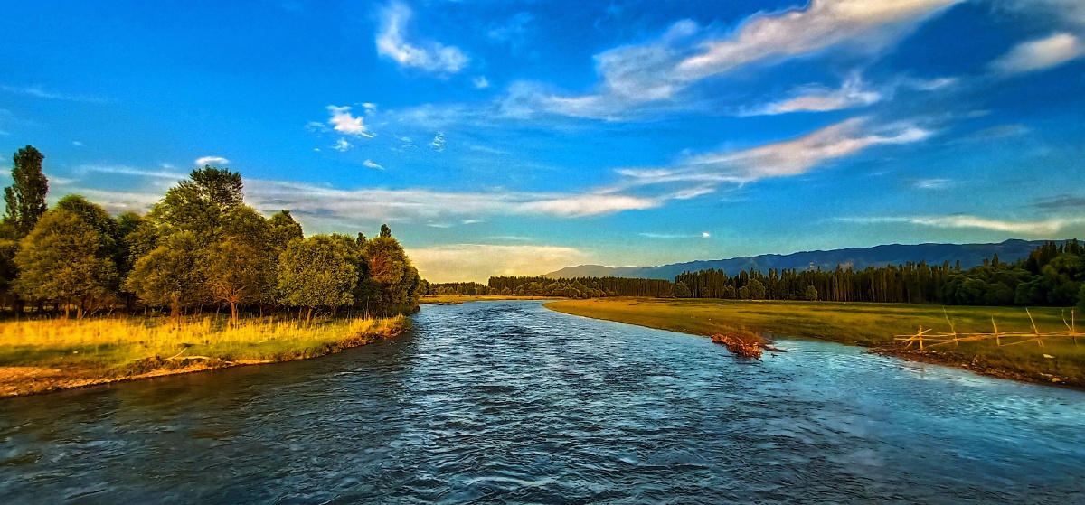 新疆巩乃斯河风光