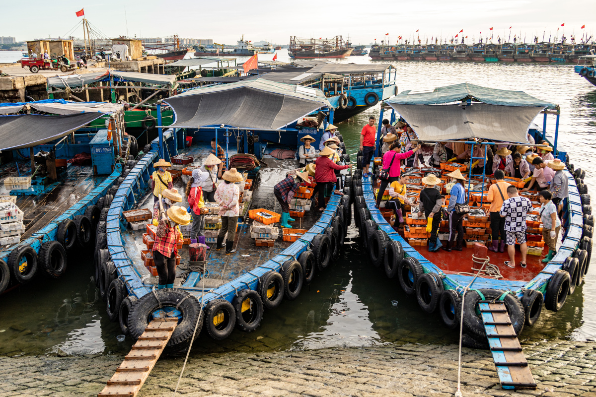 南海伏季休渔结束沿海渔民开海捕捞后满载丰收归来港口码头人来人往一