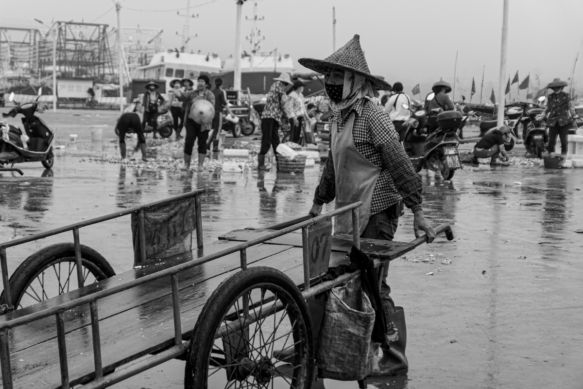 每天拂晓,成百上千的"渔婆"集聚在码头,翘首以待……她们头戴或尖顶或