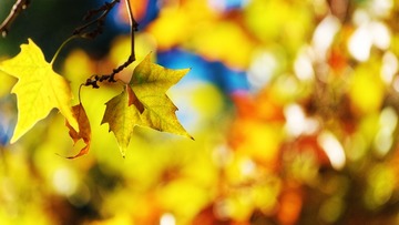 _DSC5962_DxO-nologo