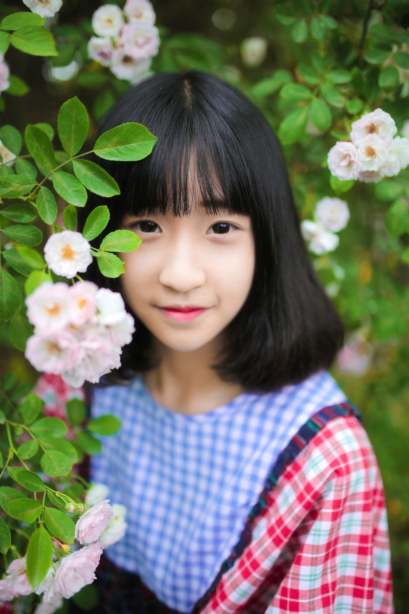 《蔷薇季致10年后的你》