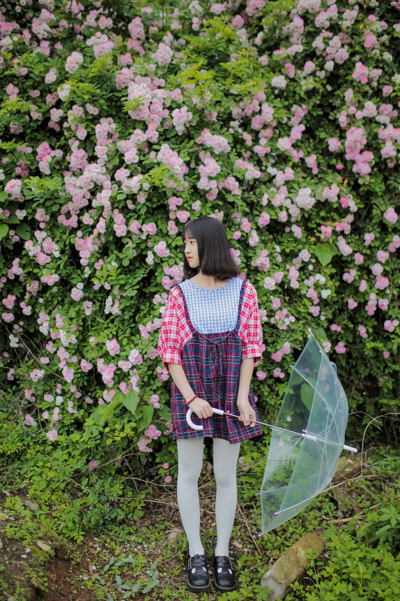 《蔷薇季致10年后的你》