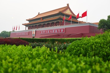 _DSC3995