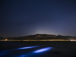 P5030116