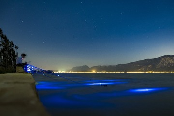 P5030111_1