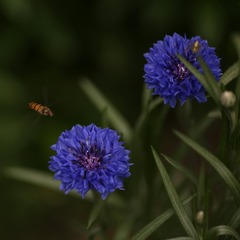 IMG_5419-01
