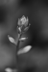 20160609113527_IMG_6534-01-01