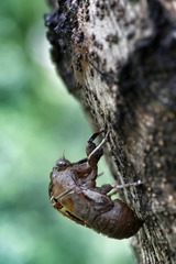 20160702115708_IMG_7510-01