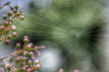20160702114340_IMG_7419-01
