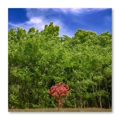 WP_20170418_14_03_25_Pro