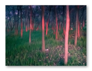 WP_20170423_18_24_32_Pro