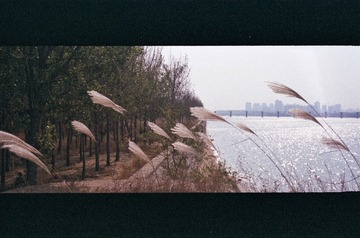33-01