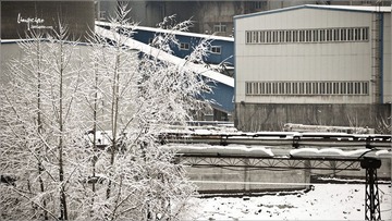 ZLX_1798.jpg