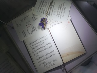 2621781