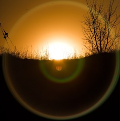 4821D951-3AE7-4D09-A1CC-E39233FDE316/L0/001