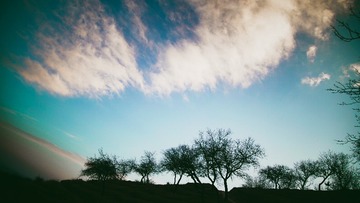 2A048EAD-C106-484D-A7A3-FA96FB1C4398/L0/001