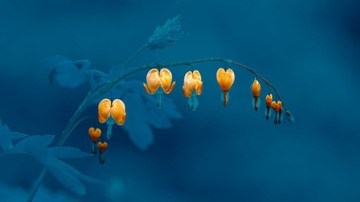 _DSC0042a_