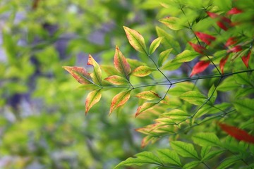 DPP_0297