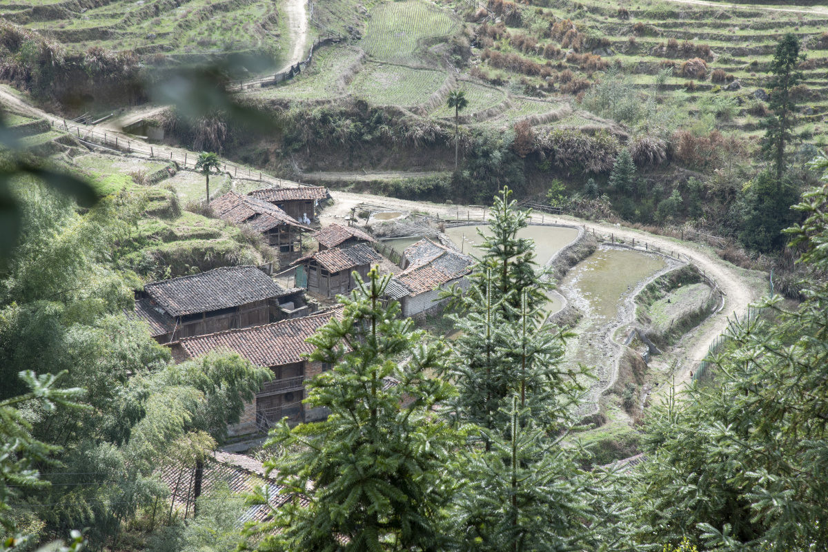 如果让你归隐田园你会吗