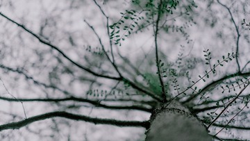 1048302