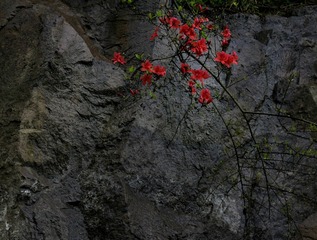 _MG_5460-02