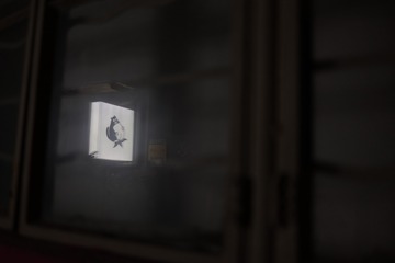 4094123
