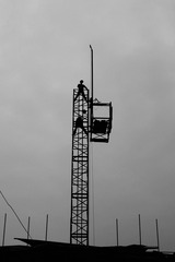 2898162