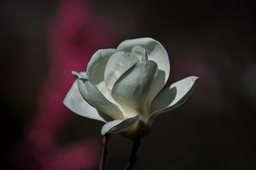 春090405 037