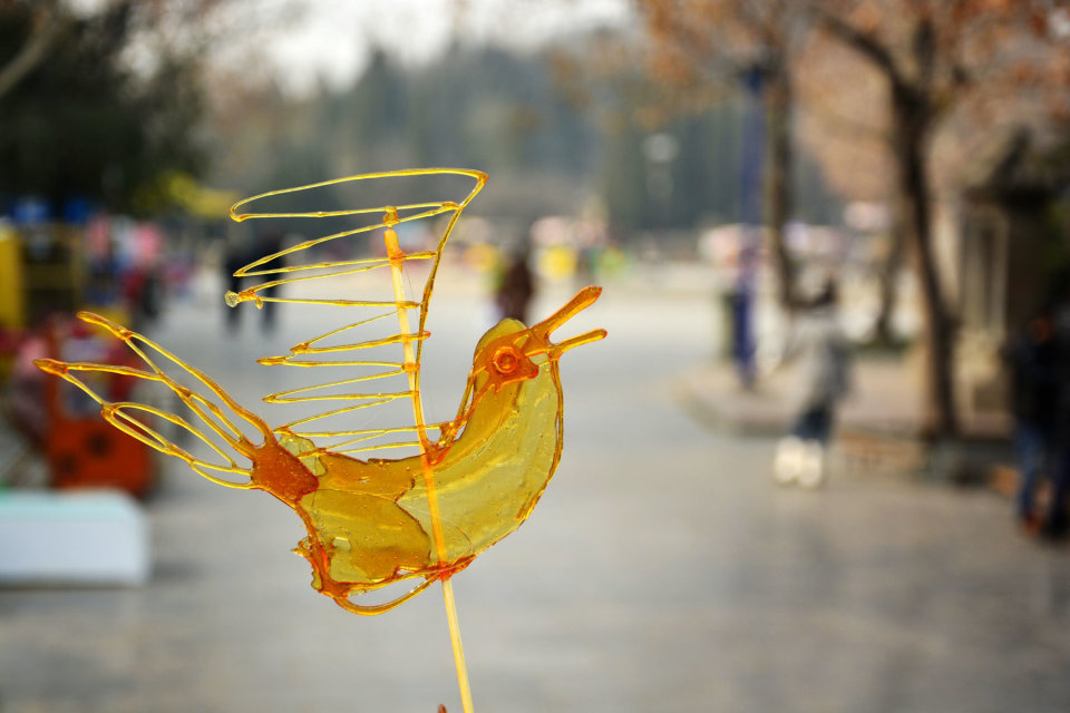 【糖画-作为一只糖鸟想翱翔的梦】2015年4月春·摄