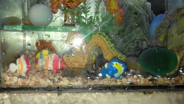 IMG_20131229_222431