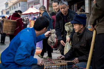 喵星人，跟我回家。